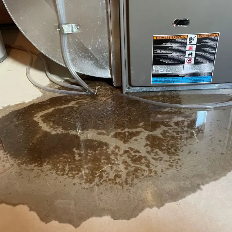 Pipe Burst and Leak Restoration in Saint Anthony, MN