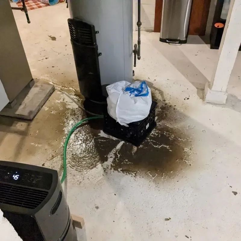 Sewage Backup Cleanup Service in Saint Anthony, MN